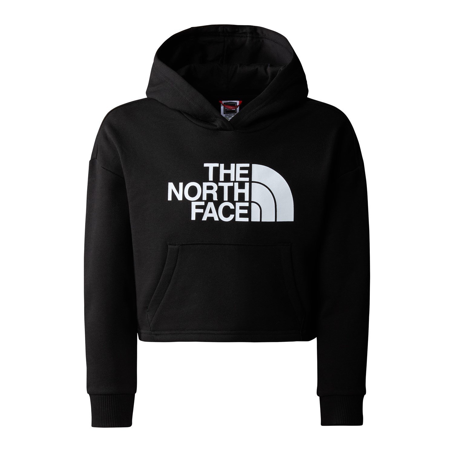 Bluza Dziecięca The North Face DREW PEAK LIGHT HOODIE